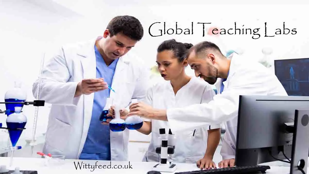 Global Teaching Labs-An Inspiring Program to Train International Students in STEM