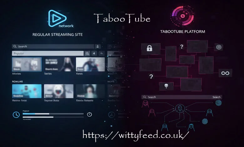 TabooTube Platform Guide: How It Differs from Regular Streaming Sites